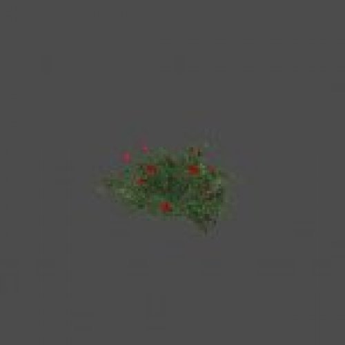 largebush04_ref