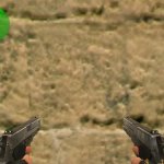 Sig Sauer P226 Customs