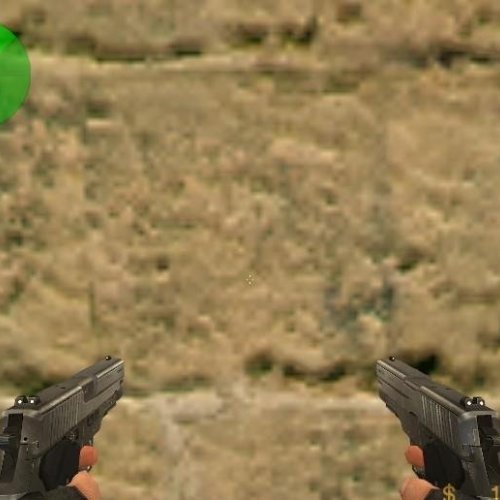 Sig Sauer P226 Customs
