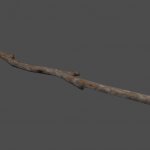 mex_branch2