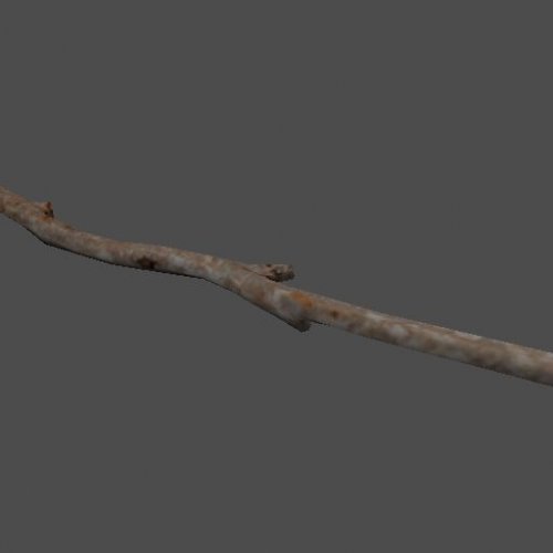 mex_branch2