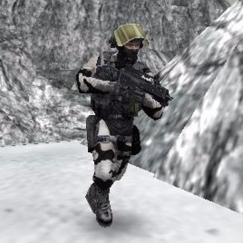 Winter Camo Counter-Terrorists