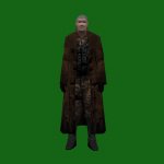 ocelot