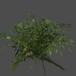foliage_01