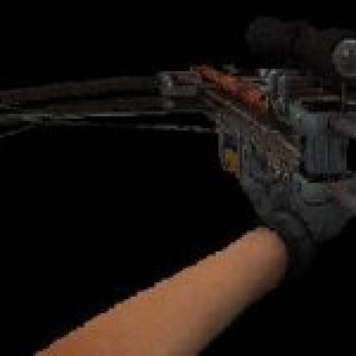 HL2 Crossbow