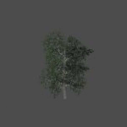 tree27