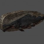 tesv_slaughterfish