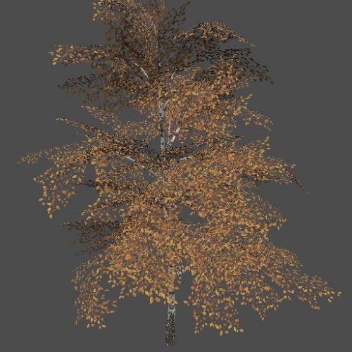 mex_bereza_yellow_1