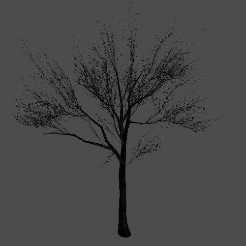 bigtree1