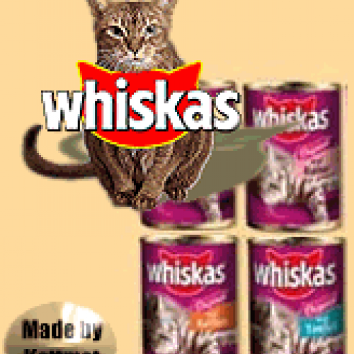 kattmat