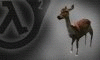 Wildlife