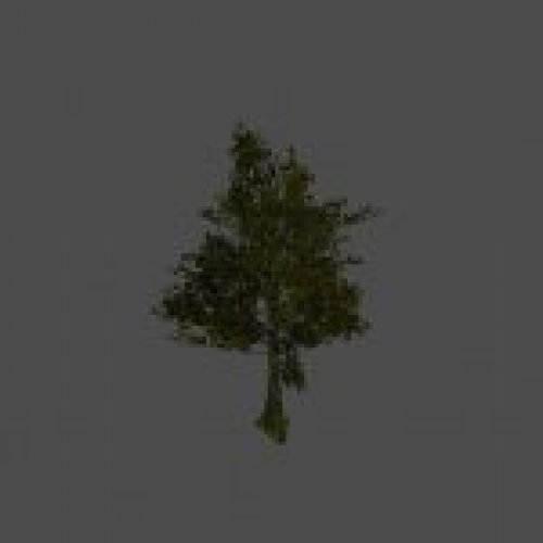 tree20