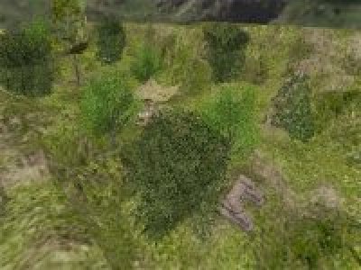 aim_wabi_csz