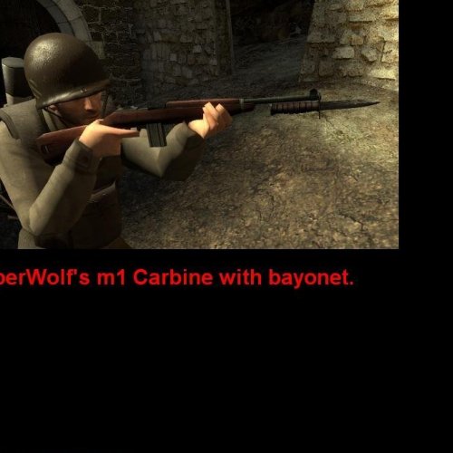 TSW_M1_Carbine_with_Bayonet