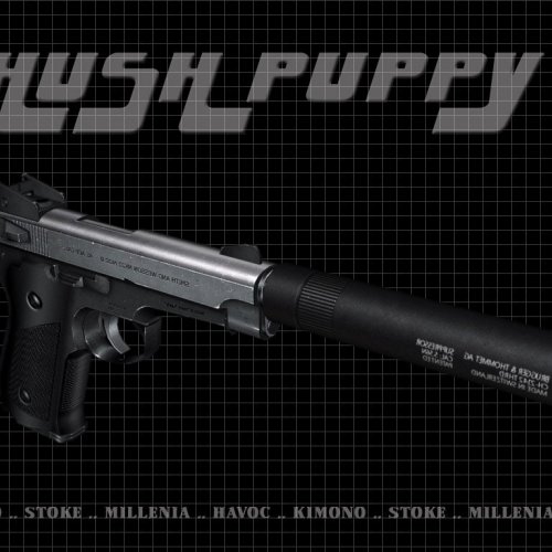 mk22 hush puppy