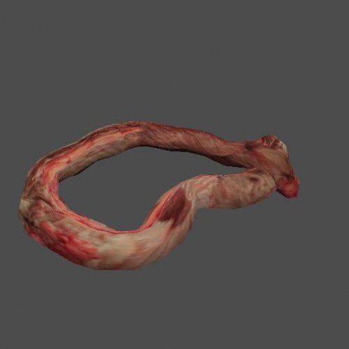 AF_gut_round