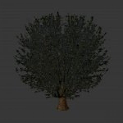 treeski2.mdl