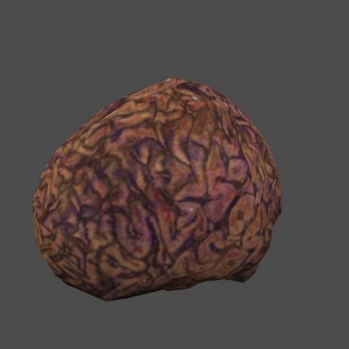 fnv_brain