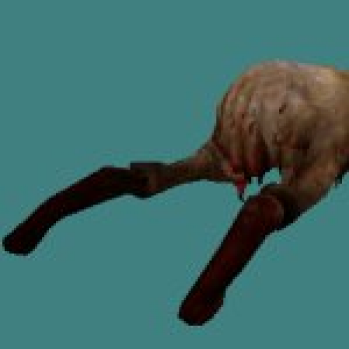 Dead HeadCrab HL2