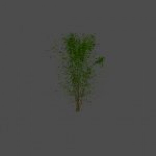 bush14