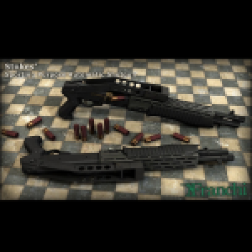 Spas12