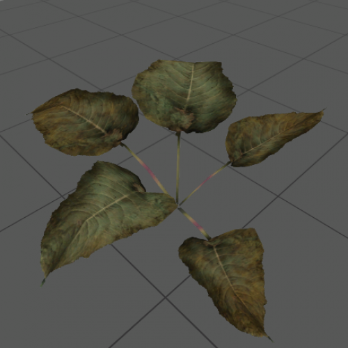 plant2
