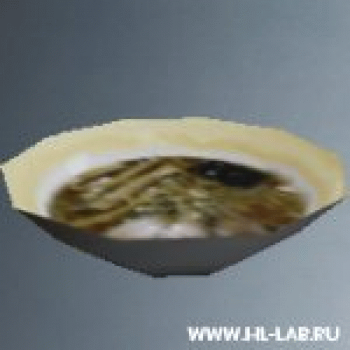 bowl_ramen