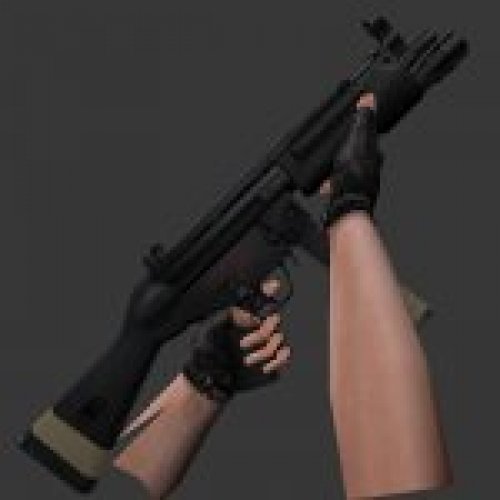 HK MP5A4 with flashlight
