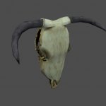 cattle_skull_top
