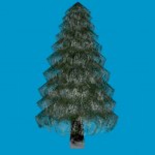 prop_pine_tree_10
