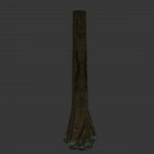 trunk_gras.mdl