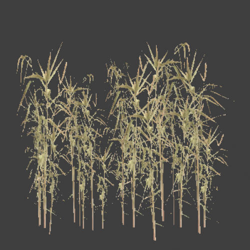 reed_6