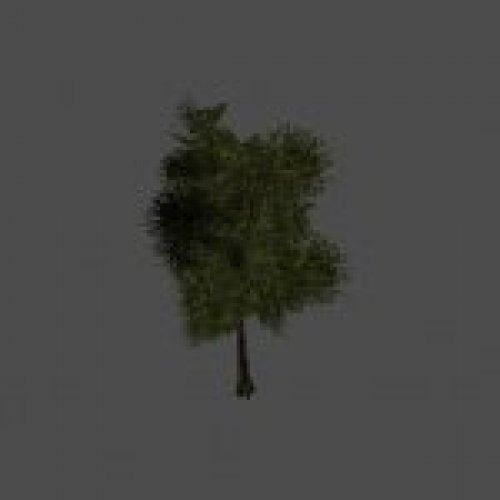 tree04