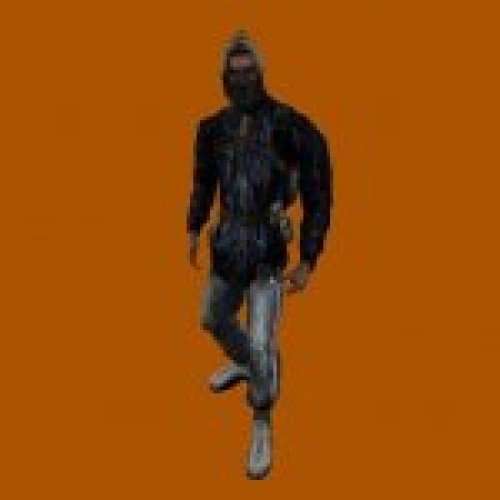 stalker bandit SC