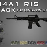 M4A1 RIS Pack for CZ