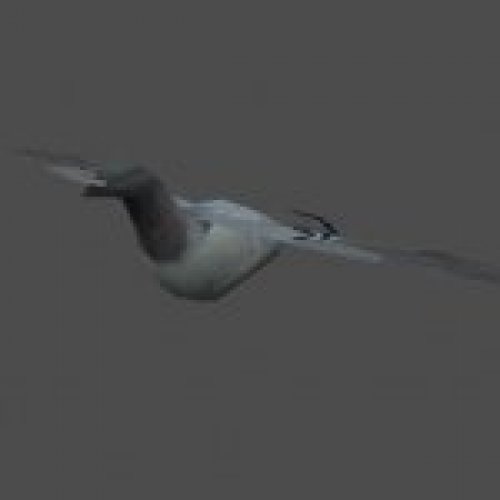 pwr3d_pigeon