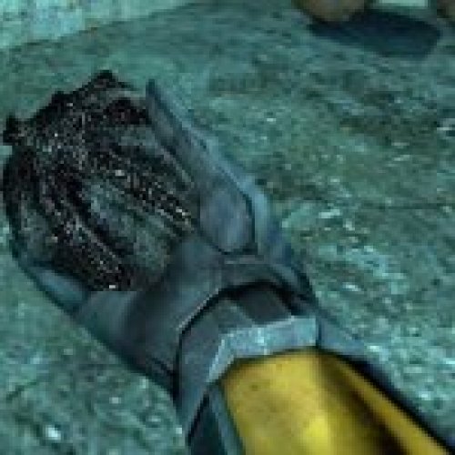 HL 2 rotten bugbait