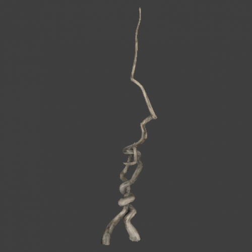 tree_11