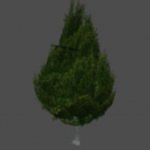 s_tree