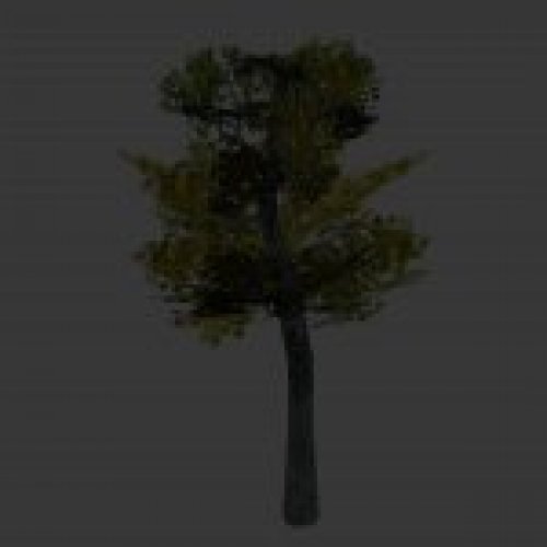 tree5.mdl