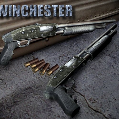 S.T.A.L.K.E.R Winchester