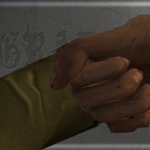 Soviet_look-a-like_sleeves