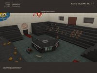 melee_mix_fight_2