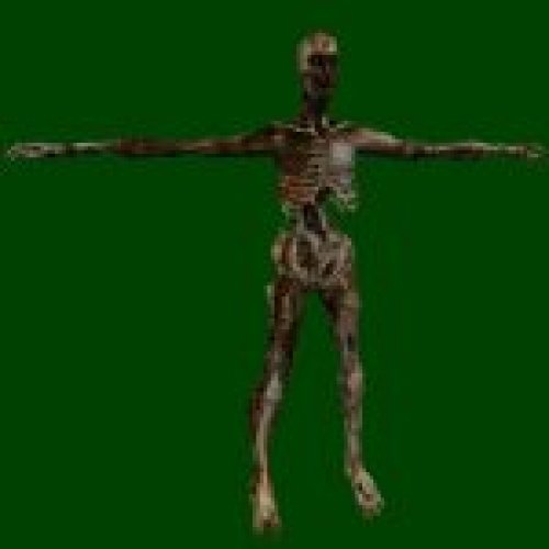 mummy