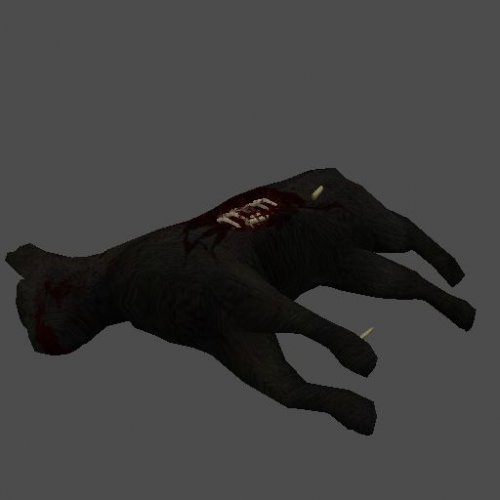 dead_cat