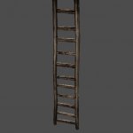 got_ladder01