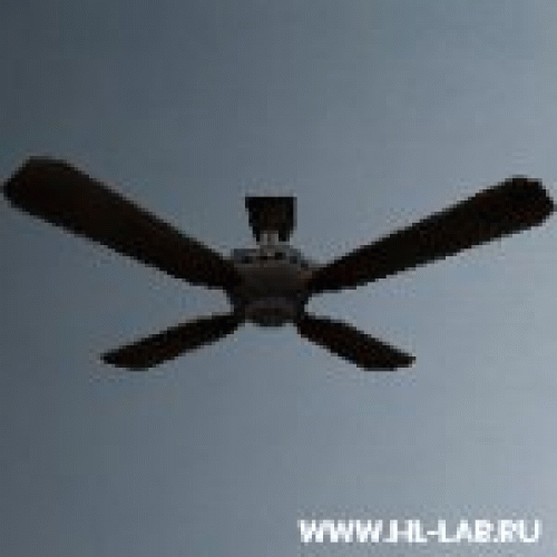 fan01