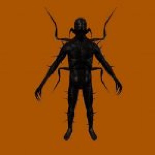 KF Clawler