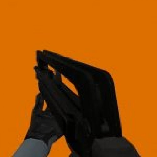 Clarion Famas