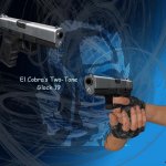 Two Tone Glock 19